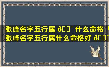 张峰名字五行属 🐴 什么命格「张峰名字五行属什么命格好 🐋 」